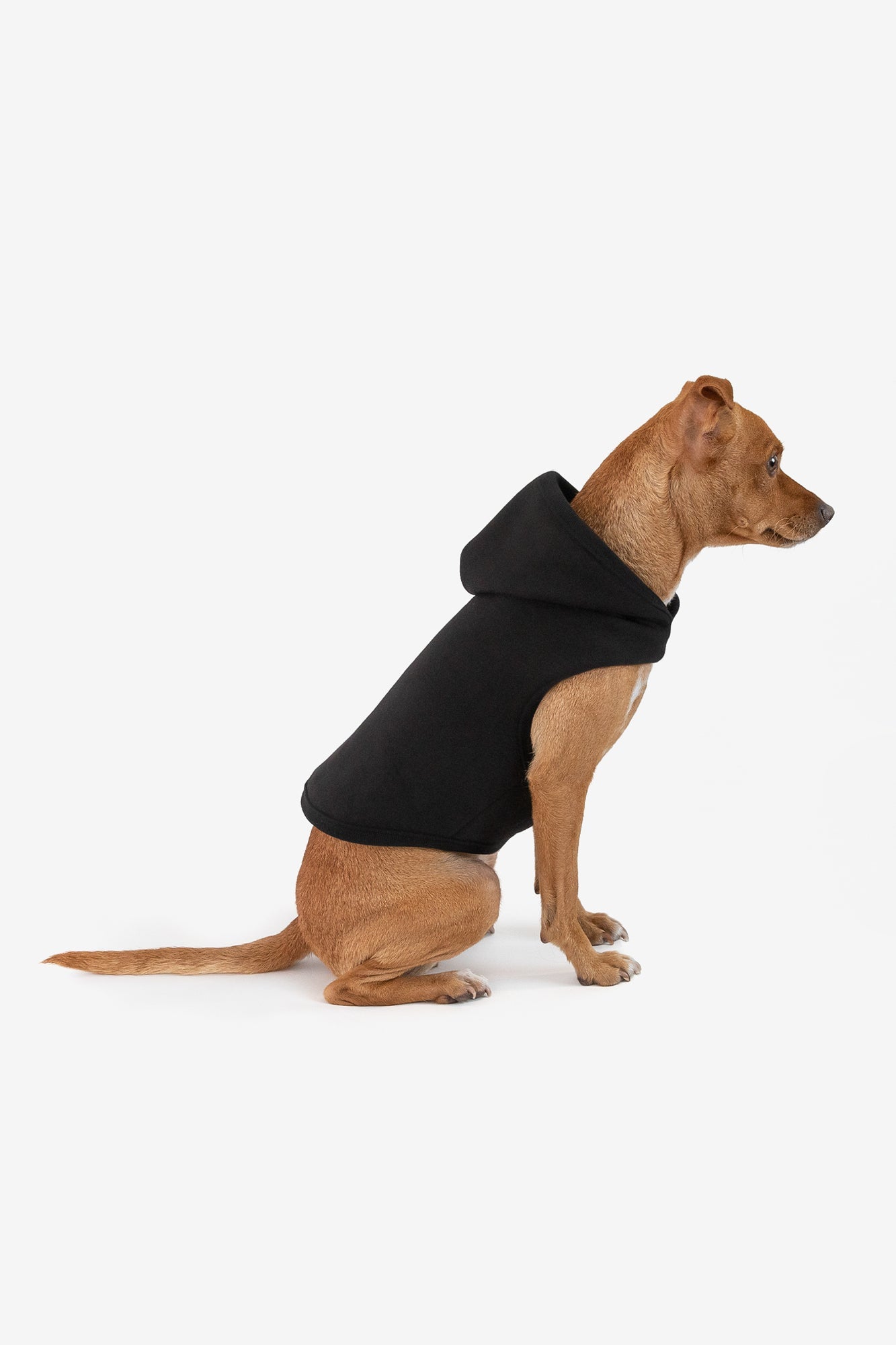 Fleece dog hoodie best sale