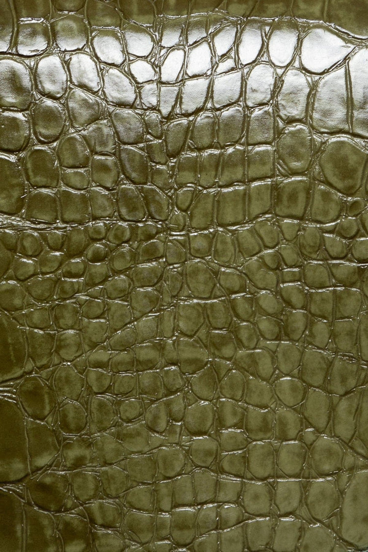 Olive Crocodile